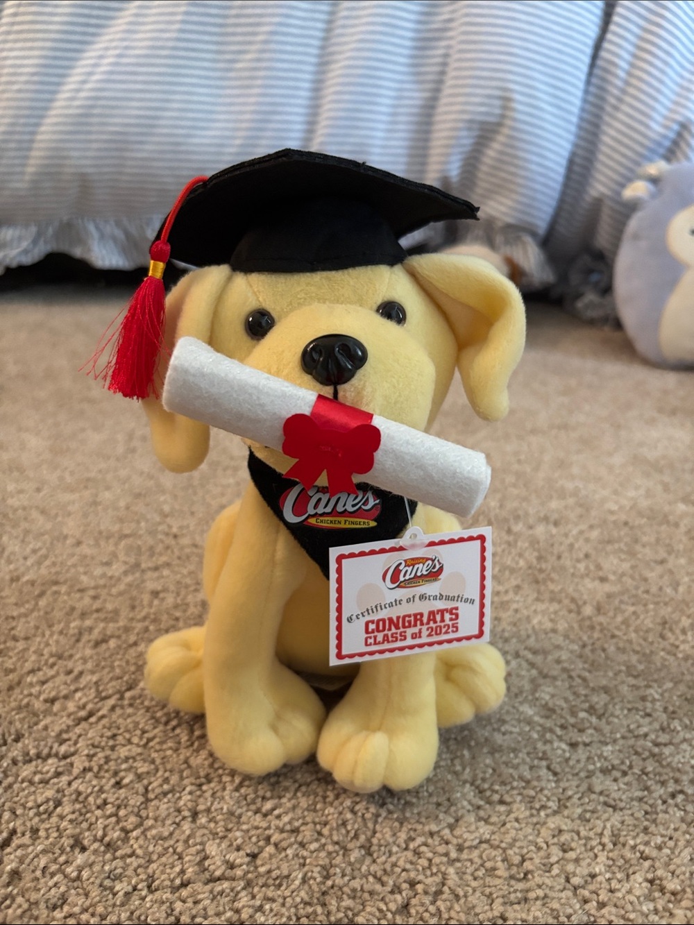 Raising Cane's Graduation Dog Plush Toy with Cap and Diploma
